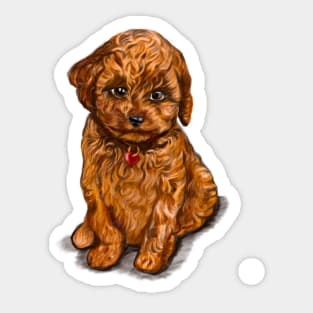 Cavapoochon Cavapoo Cavoodle - cute cavalier King Charles spaniel Bichon frise Sticker